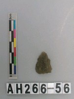 藏品(打製石鏃)的圖片